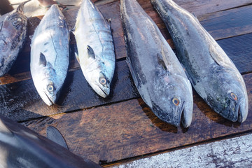 Fish market in Asia. Catching sea and ocean animals in the Indian Ocean. Tuna on shelves for sale....