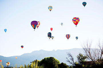 Colorful Hot Air Balloons Flying In Sky