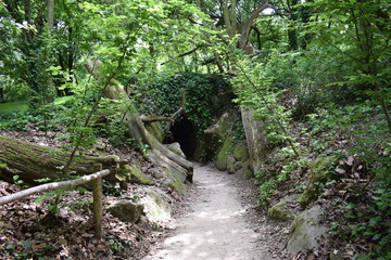 Fototapeta na wymiar Entrée de la grotte 