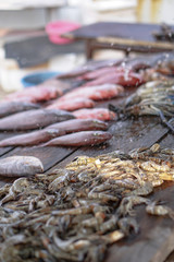 Fish market in Asia. Catching sea and ocean animals in the Indian Ocean. Tuna on shelves for sale. Exotic background