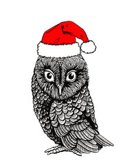 Vector owl in Santa Claus hat isolated on white background,graphical illustration