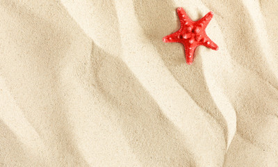Fototapeta na wymiar Summer concept. Starfish on sea sand. Texture light sand. Concept beach holiday. Flat lay, top view, copy space