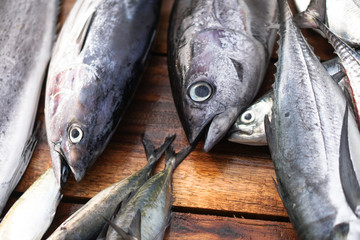 Fish market in Asia. Catching sea and ocean animals in the Indian Ocean. Tuna on shelves for sale. Exotic background