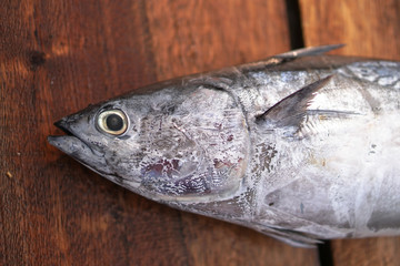 Fish market in Asia. Catching sea and ocean animals in the Indian Ocean. Tuna on shelves for sale. Exotic background