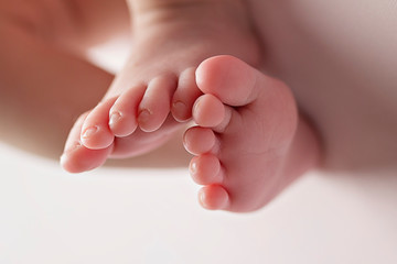 Newborn Baby Girl Feet on white