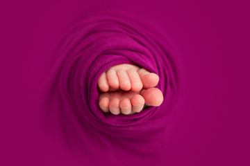 Newborn Baby Girl Feet with Orchid Purple Wrap