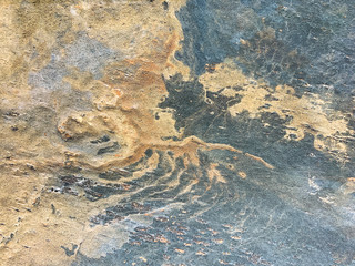 stone structured border texture flooring  graphic oak parquet