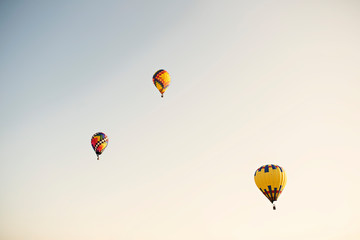 Hot Air Balloon Festival