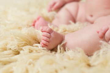 Baby Feet on Cream Flokati Rug