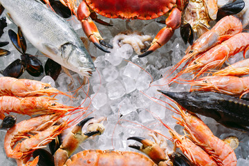 Seafood on ice. Crabs, sturgeon, shellfish, shrimp, Rapana, Dorado, on white ice.