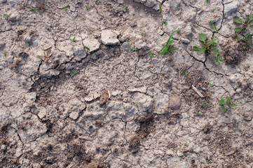 land texture top view