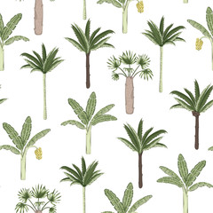 Vector seamless pattern of palm and banana trees on white background. Summer or spring repeat vintage tropical backdrop. Exotic jungle ornament