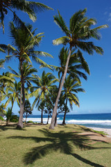 Grand Anse (île de la Réunion)