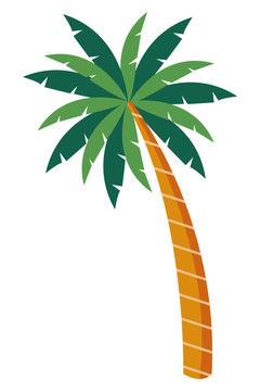 palm tree icon cartoon isolated