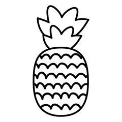 fresh pineapple fruit summer icon