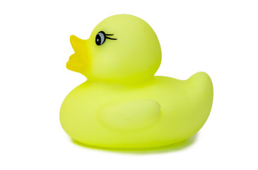 Rubber bath duck isolated on white. A side view of a lemon rubber duck.