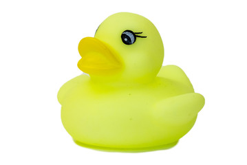 Rubber bath duck isolated on white. A side view of a lemon rubber duck.