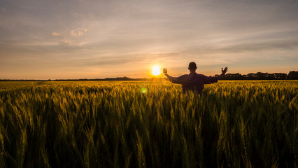 Silhouette of a farmer standing in a field with arms raised