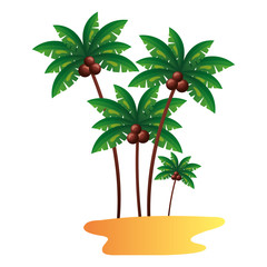 beach palm trees sand coconut white background