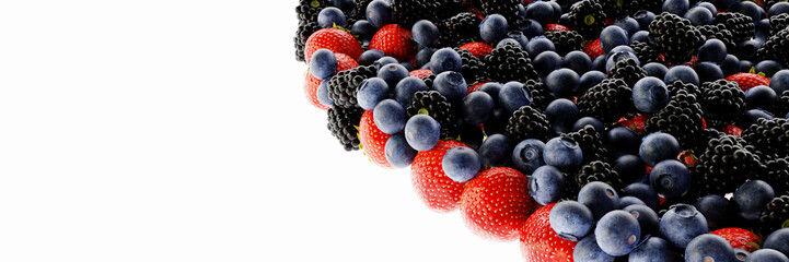 blueberries on white background