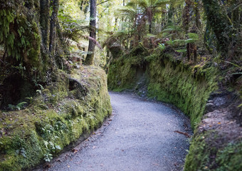 Beautiful View on the Hiking Trail