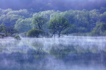 朝靄と新緑の白川湖