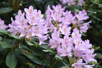 Manche mögen's kühl