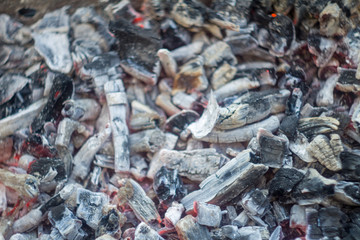 burning coals