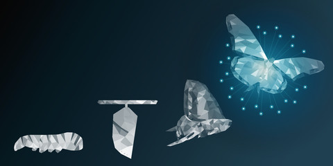 Background of beautiful abstract Business transformation innovation. Change from to high technology like butterfly life cycle. to imply with success future business growth concept or other transform