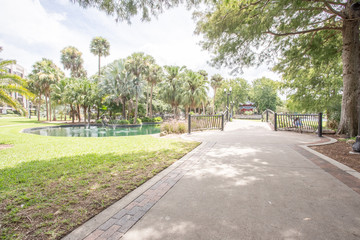 Obraz premium Orlando 1y