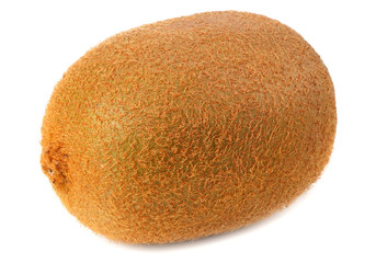 kiwi fruit isolated on a white background