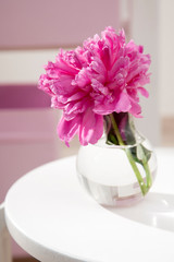 bouquet of red peonies in a vase stands on a white chair in the interior