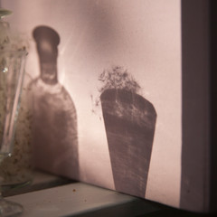 Dandelions in transparent vase against the sun