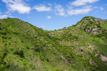 Obraz premium 高砂市の鷹ノ巣山