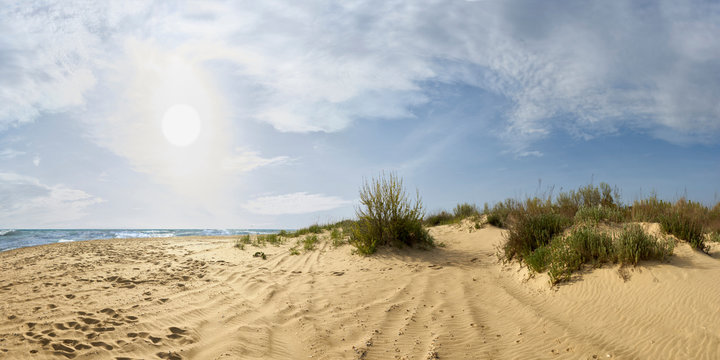 beautiful nature, sea, beach. Sunny weather