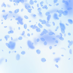 Dark blue flower petals falling down. Curious roma