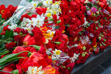 Flowers in the cemetery. Flowers at the memorial. Pay tribute and memory