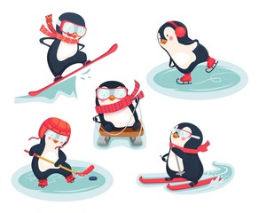 Naklejka premium active penguins in winter concept