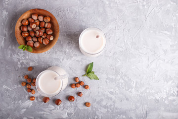 Obraz na płótnie Canvas Organic non dairy hazelnut milk in glass and wooden plate with hazelnuts on a gray concrete background.