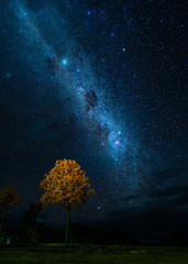 Lake Moogerah stars with tree lit by camp fire