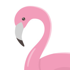Flamingo cartoon design vector illustration