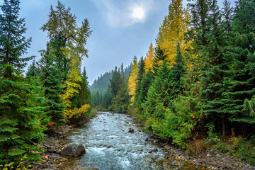 Fototapeta na wymiar Cayoosh Creek, Route 99, British Columbia, Canada