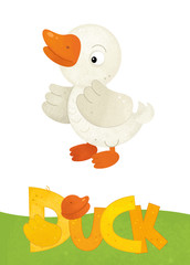 cartoon scene with happy duck on white background with name sign of animal - illustration for children