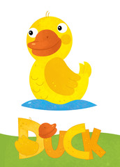 cartoon scene with happy duck on white background with name sign of animal - illustration for children