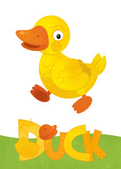 cartoon scene with happy duck on white background with name sign of animal - illustration for children