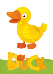 cartoon scene with happy duck on white background with name sign of animal - illustration for children