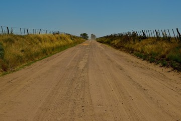 Camino rural de tierra al fondo una arboleda.