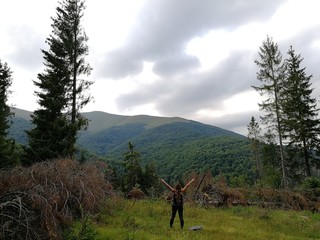 tree in mountains