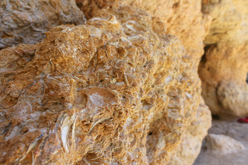 Sand and Sheels of Scallops Close Up, Beach Vale Covo, Lagoa, Algarve, Portugal