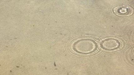 Ondas en el agua